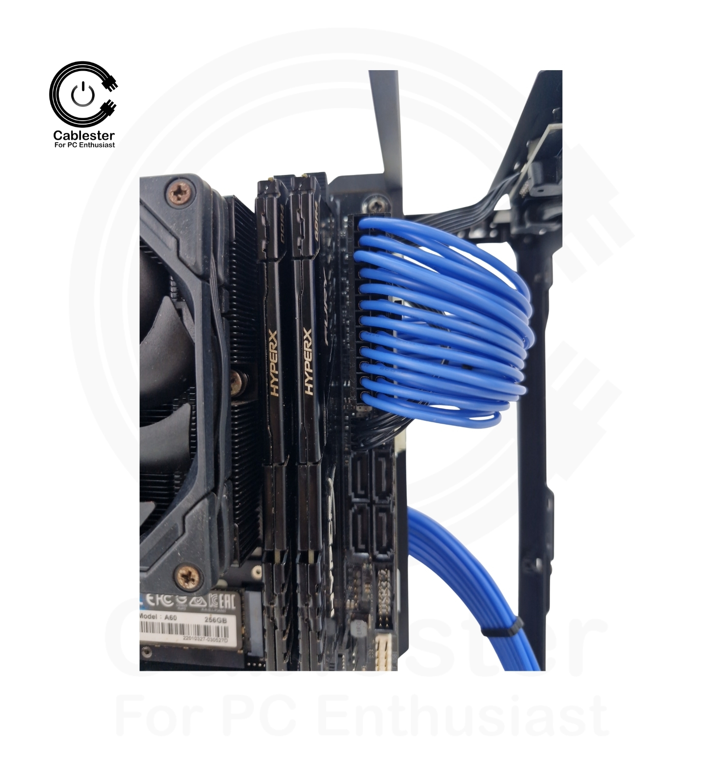 SSUPD Meshlicious Meshroom S