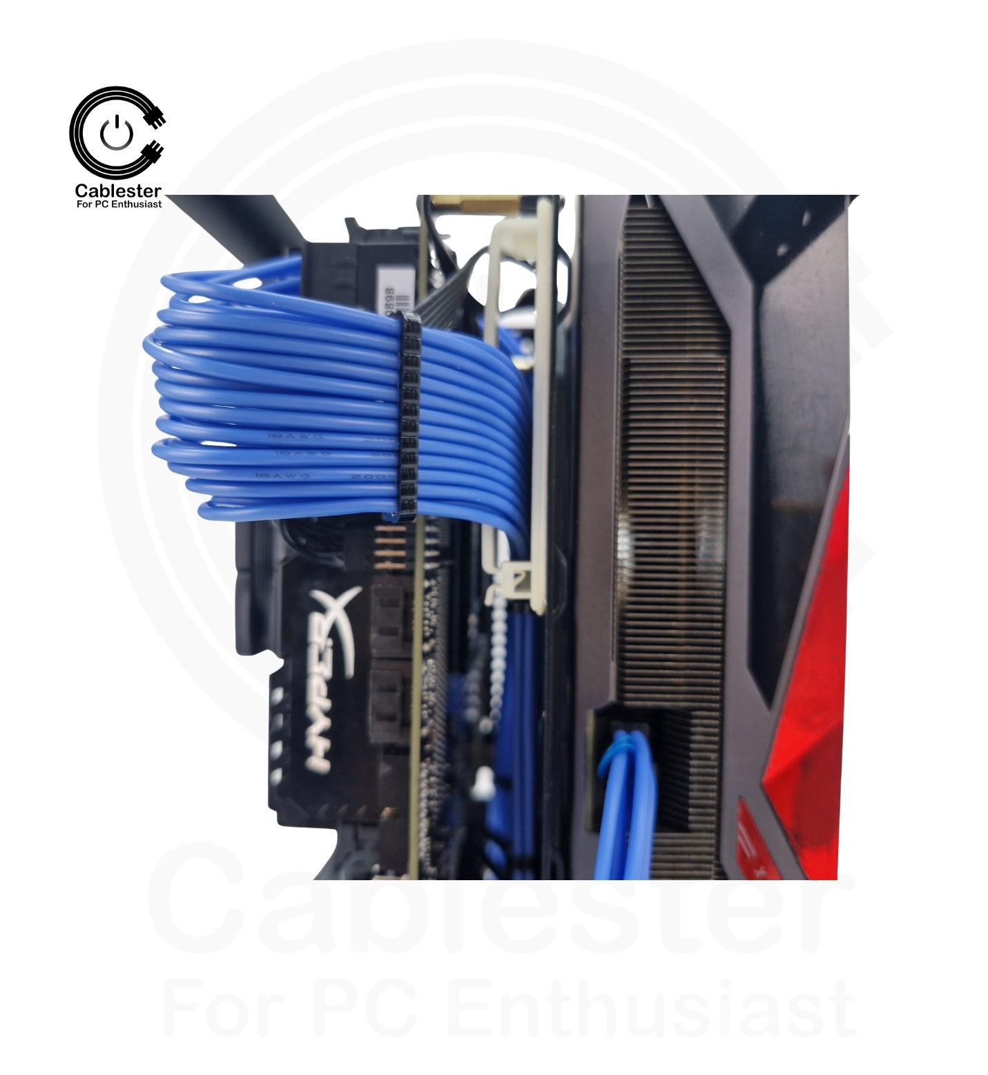 SSUPD Meshlicious Meshroom S