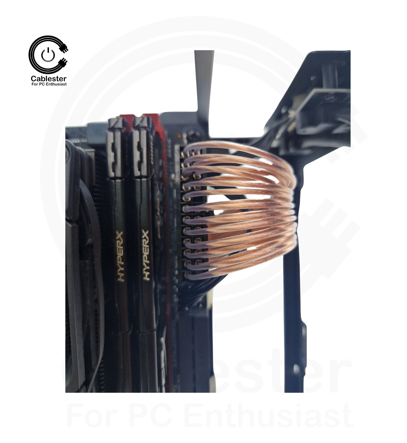 SSUPD Meshlicious Meshroom S