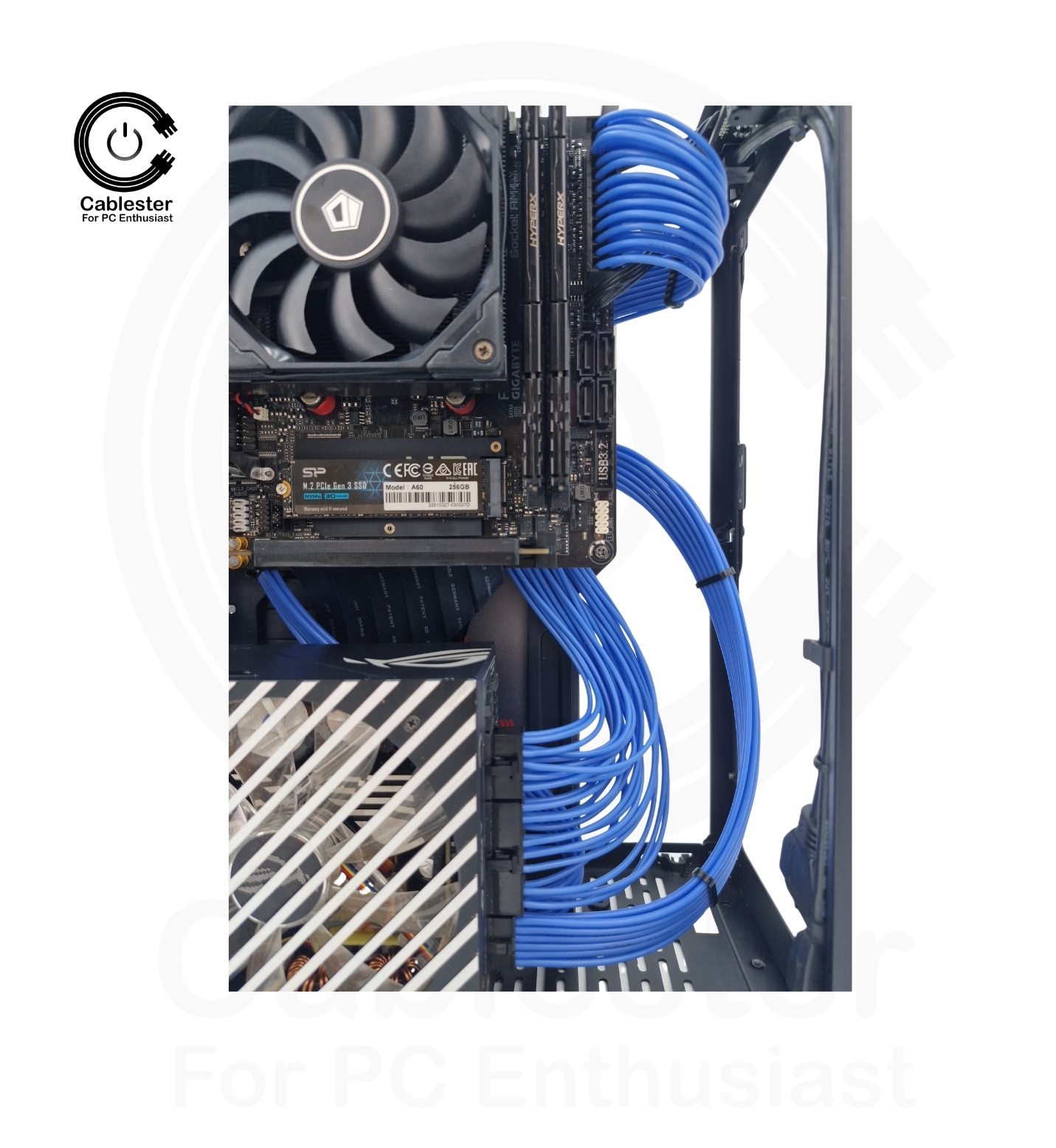 SSUPD Meshlicious Meshroom S